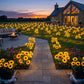 🌻65K+ SOLD!🔥LuminaBloom™ Solar Sunflower Garden Stake Lights 🌻 | Waterproof 🌧️ | No Wiring💡